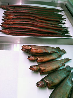 Räucherfisch Aal Forelle